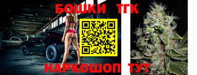 apvp Кингисепп