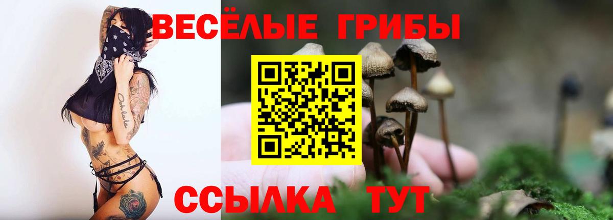 Галлюциногенные грибы GOLDEN TEACHER Ленинск-Кузнецкий
